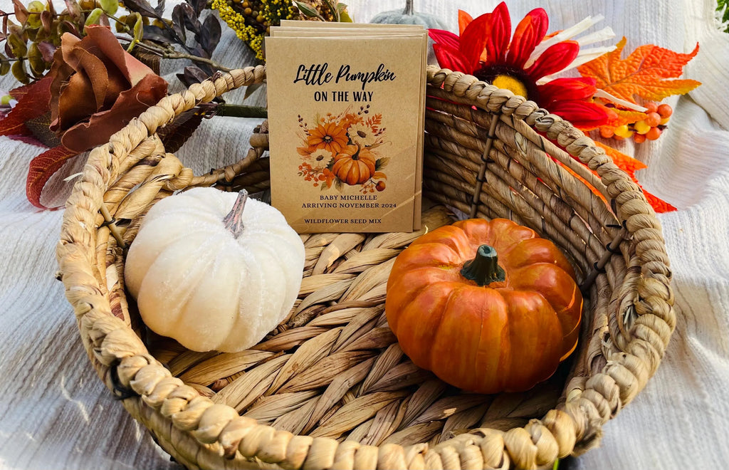 Little Pumpkin Seed Favor